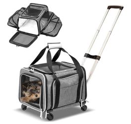 Airline Approved Expandable Premium Pet Carrier on Wheels- Two Sided Expandable Rolling Carrier- Designed for Dogs & Cats- Extra Spacious Soft Lined C
