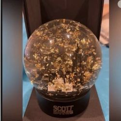 Scott Barnes Snow Globe 