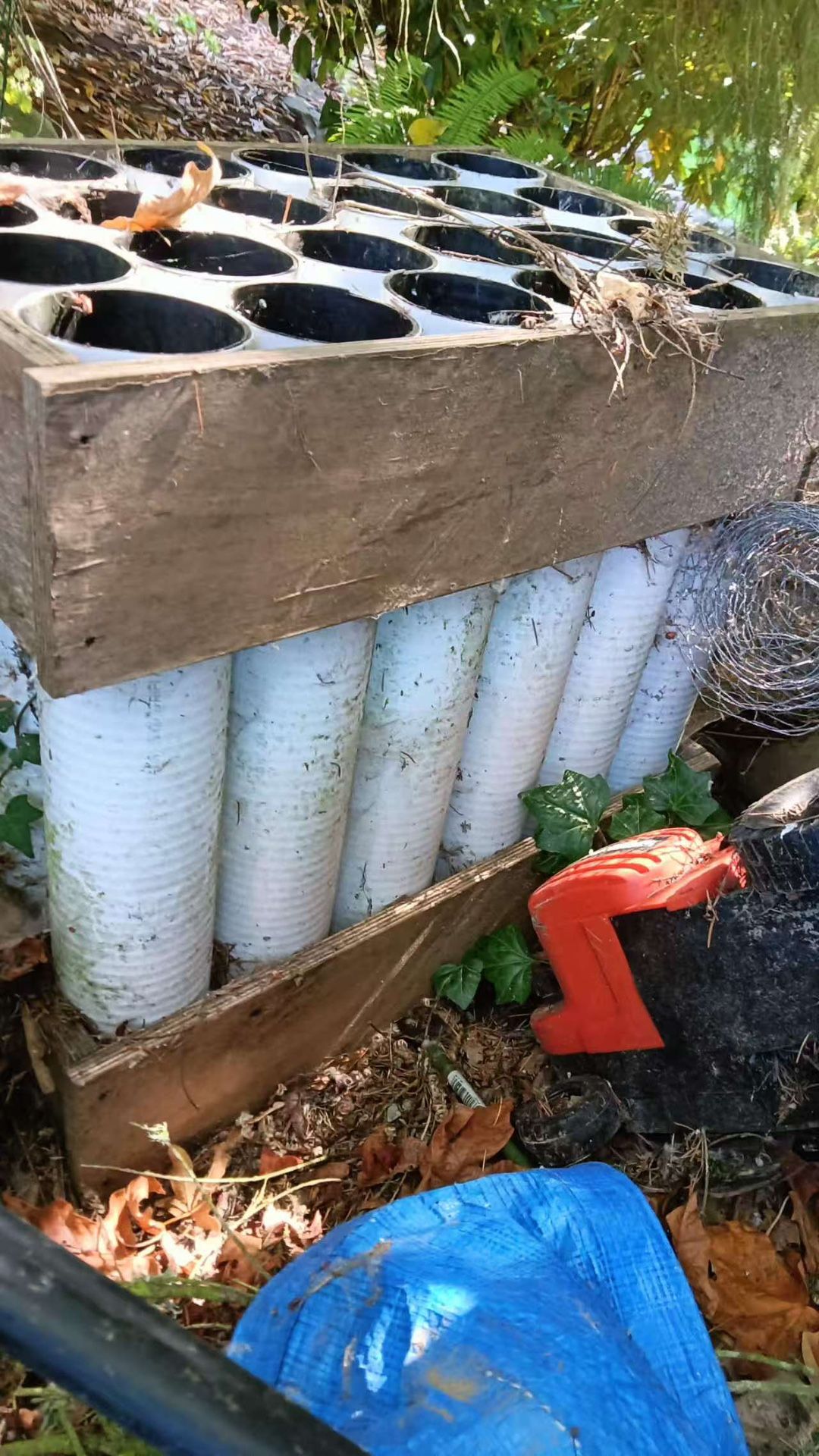 Free Plant Pots