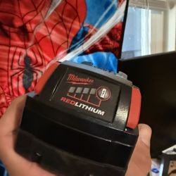 Speaker Milwaukee With Batteries Use Also For Drills/power Tools With Charger 