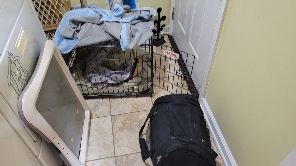 Dog Items