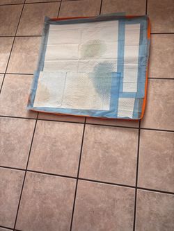 Doggie vinyl pad