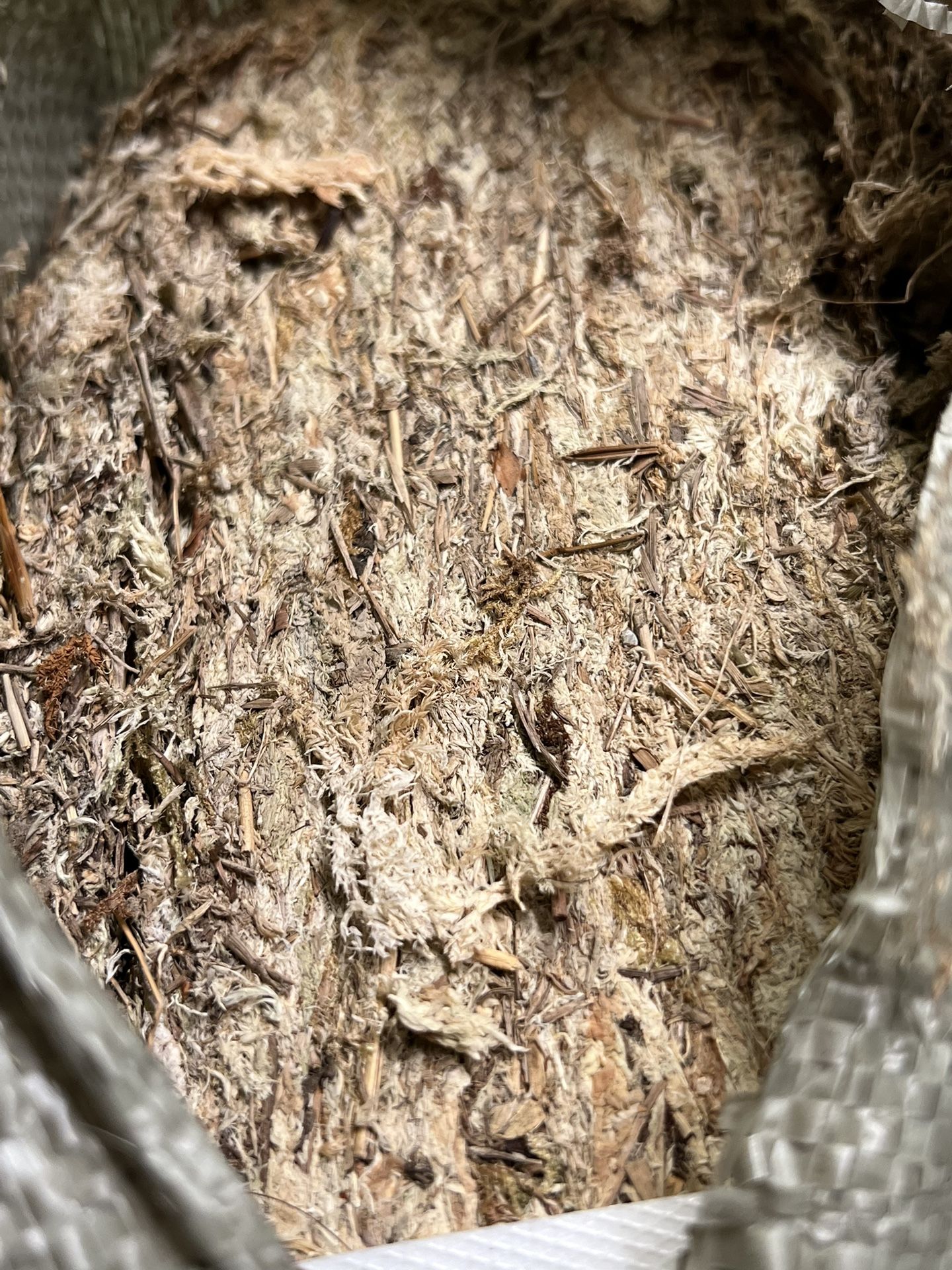 Sphagnum Moss Substrate 22lb Large Bale Wholesale