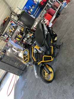 Italica Scooter Black and Gold