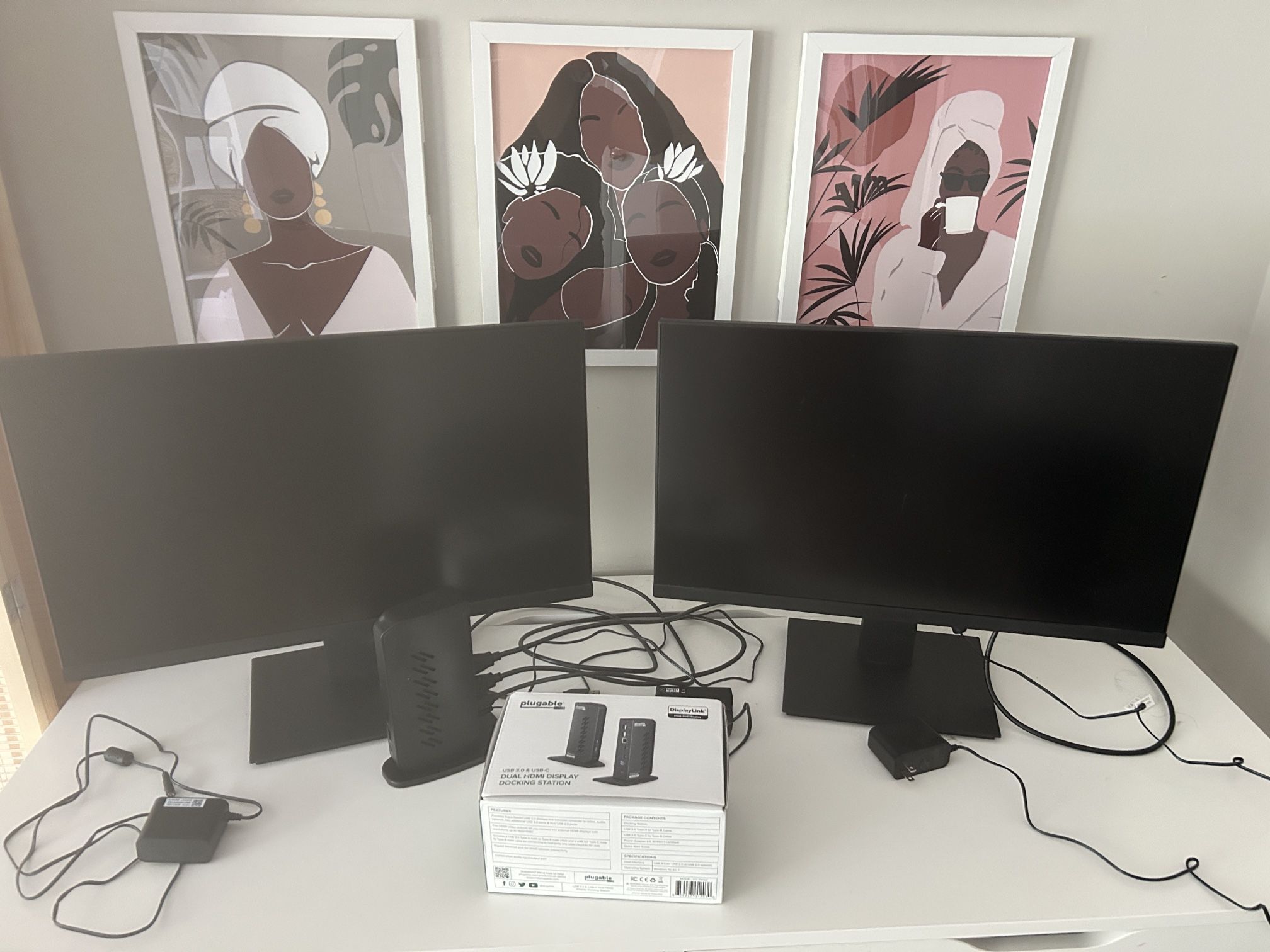 Dual 24 Inch Monitors & Plugable Docking Station