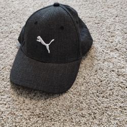 Puma hat 
