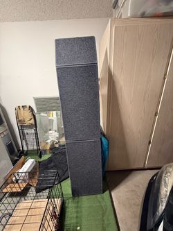 Long dog ramp