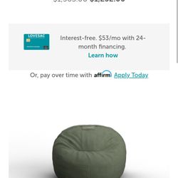 Lovesac Beanbag-The Big One