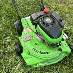 Lawn Boy Self Propelled Lawnmower 