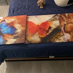 Cuadro De Mariposas Set De 3