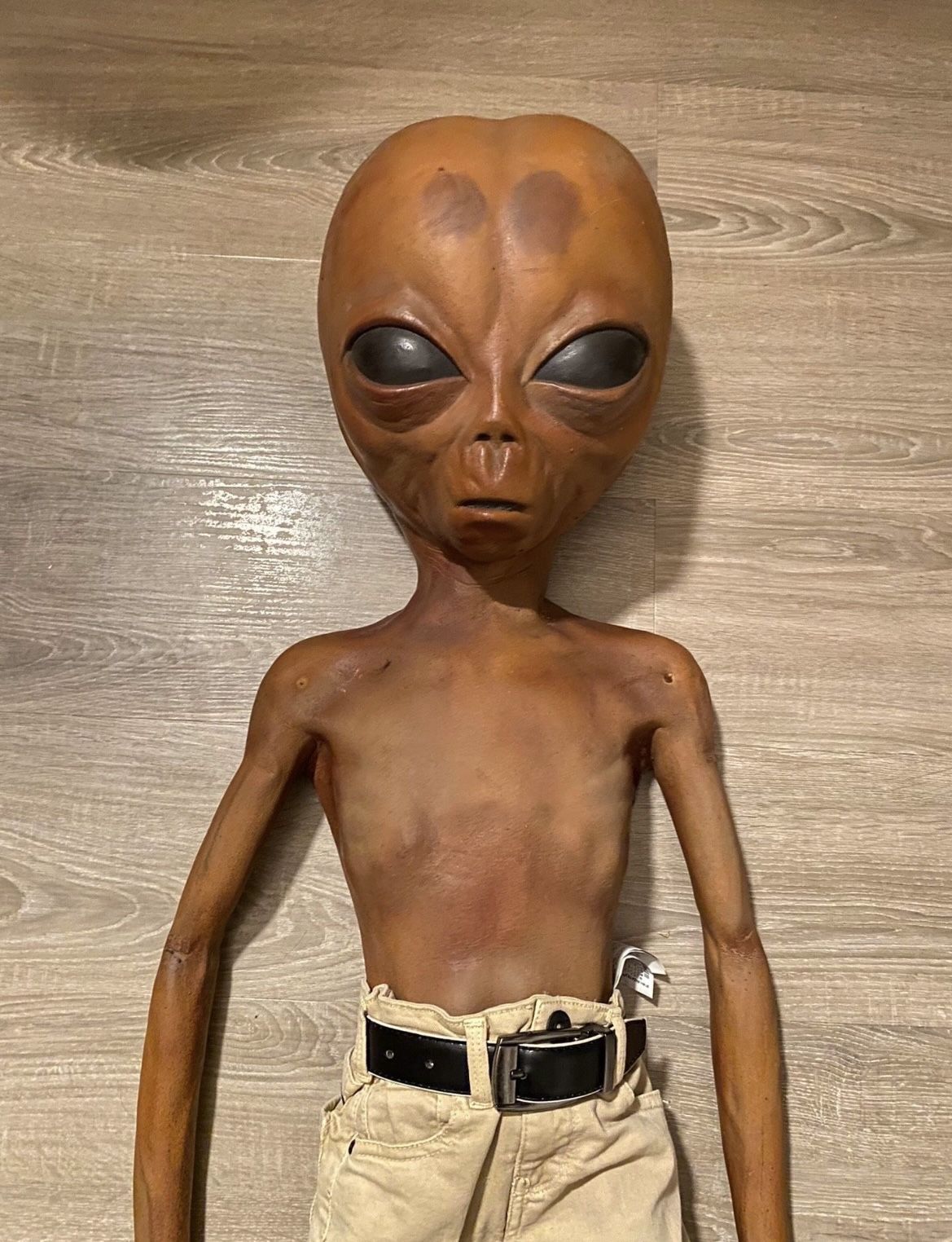 EXTREMELY RARE X Files Alien Prop lil Mayo for Sale in Phillips Ranch CA OfferUp