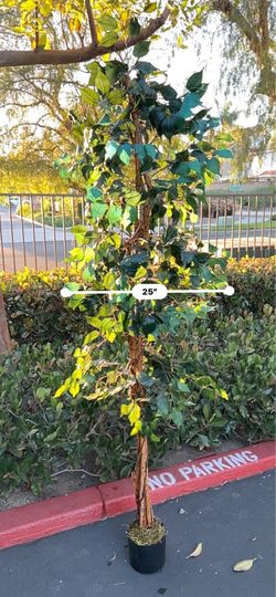 Artificial ficus tree 7’ new