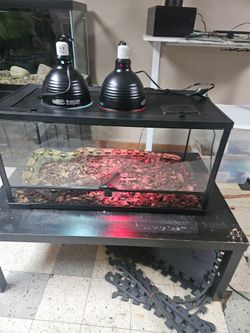 Glass Reptile Terrarium with Two Heat Lamps