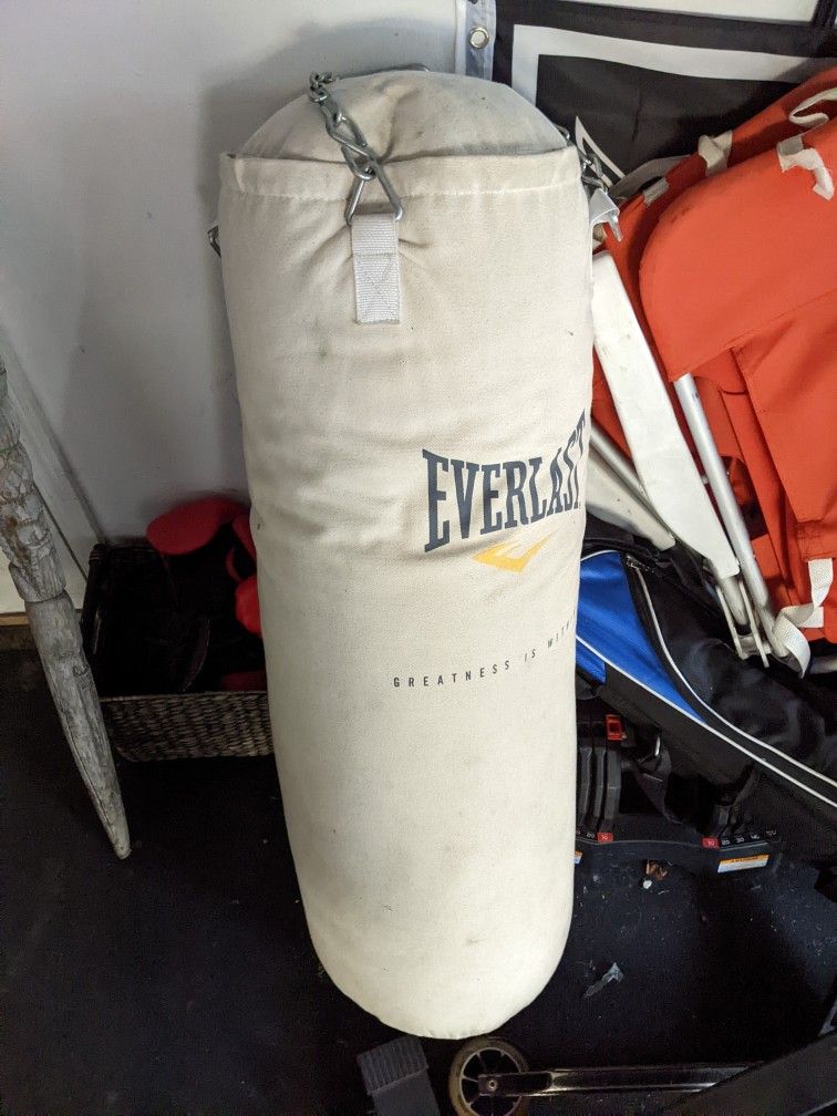 80 Lb Everlast Punching Bag- Canvas