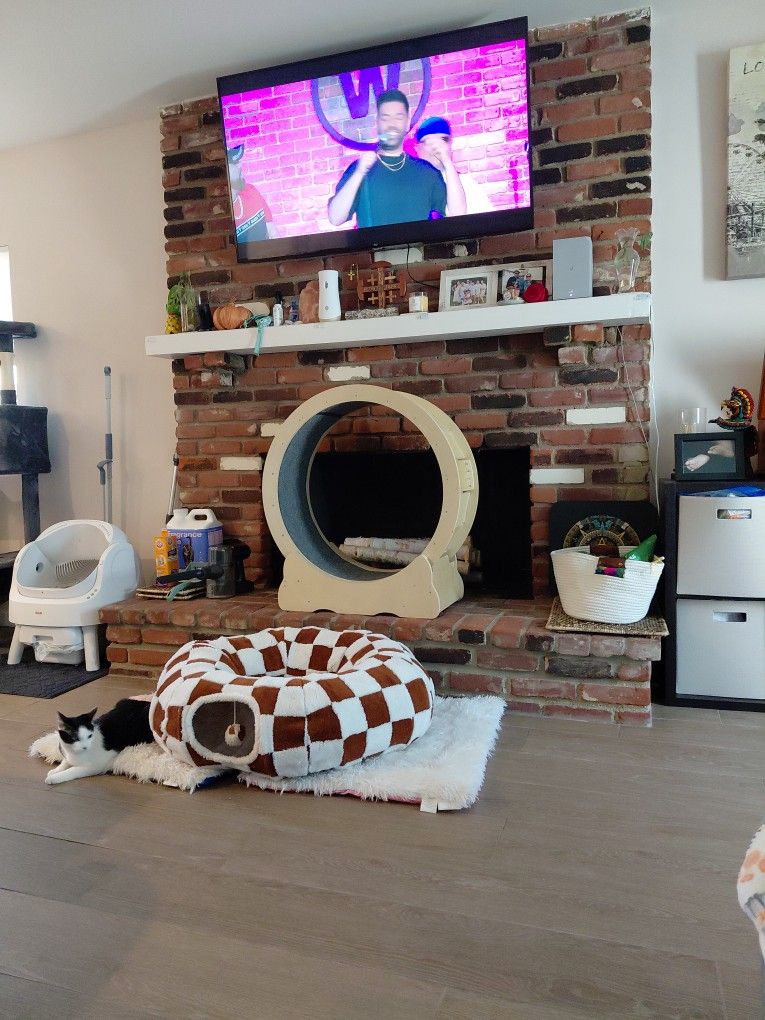 Cat Wheel