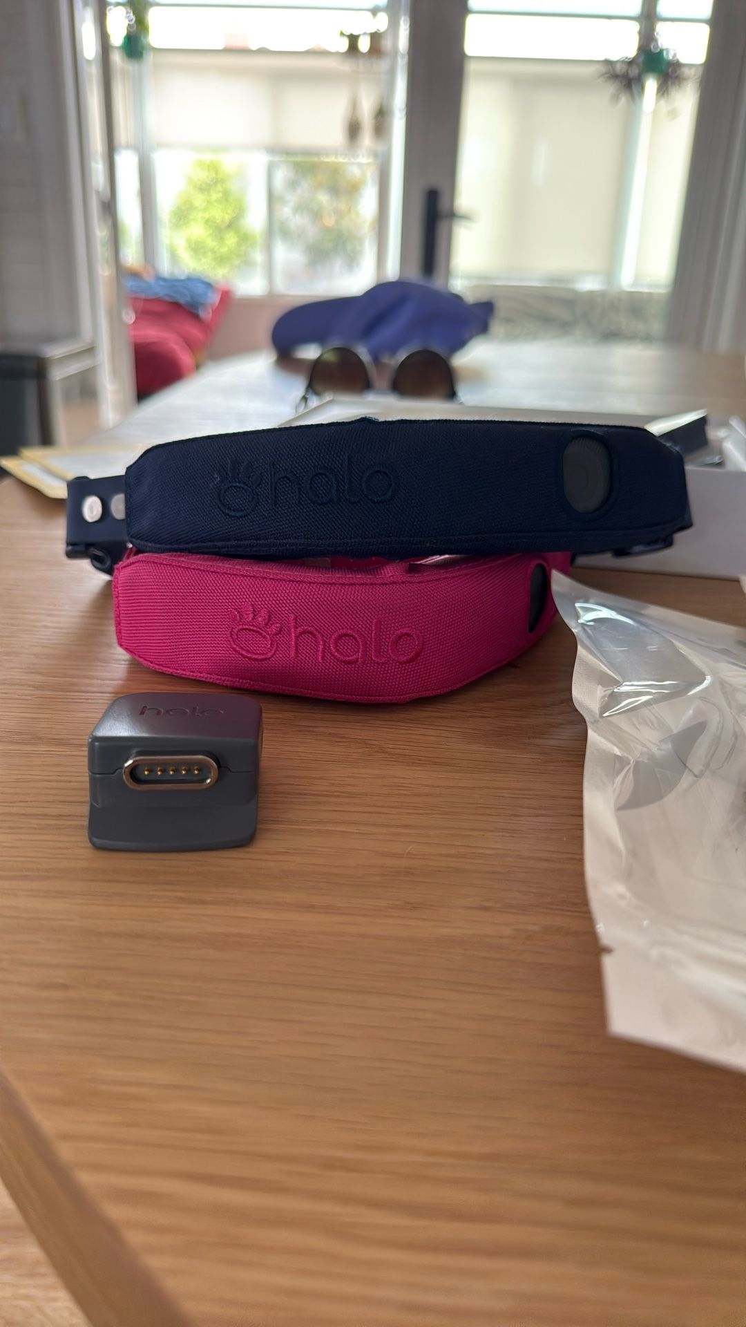 Halo Collar 4