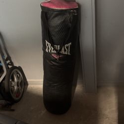 Everest punching bag