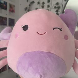 Squishmallow Casmina 8 inch