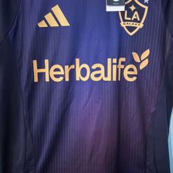 LA galaxy
