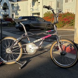 1990 Haro master Bashguard