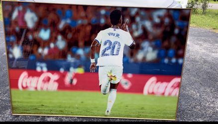 Vino Jr Crystal Porcelain Painting 