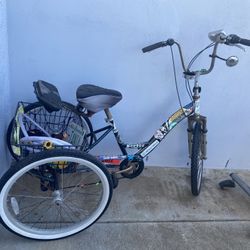 Tricycle Bike