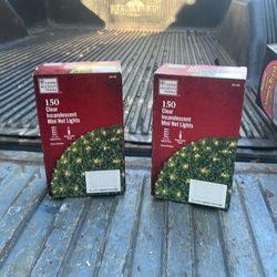 Clear incandescent mini net lights