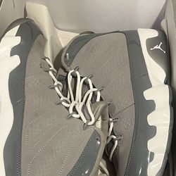 Jordan Cool Grey 9s