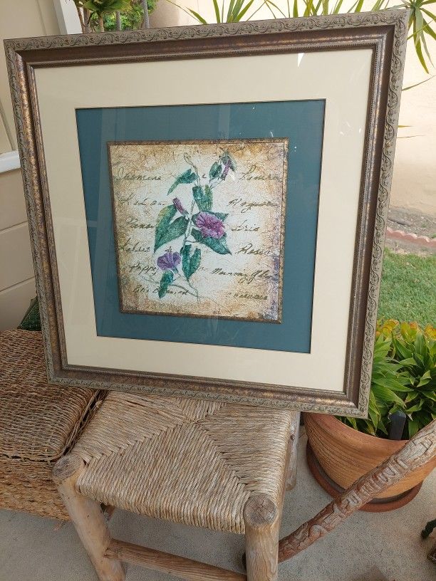 Large Framed Botanical Picture