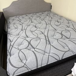 Queen Mattress & Box Spring ( $899.00) Queen Bed Frame Free