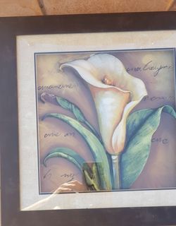 Wall Frame Decor