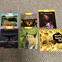 Kids Small Book Lot