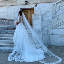 Demotrios Wedding Dress With Cathedral Veil 
