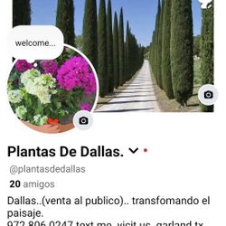 Diferentes  Plants. Diferents Price . All In The Picture It's Available. 