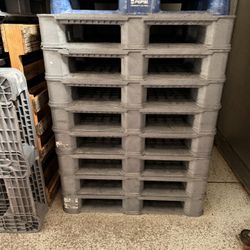 Plastic Pallet 