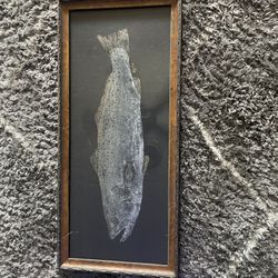 Speckled Gator Trout Fish Rubbing 