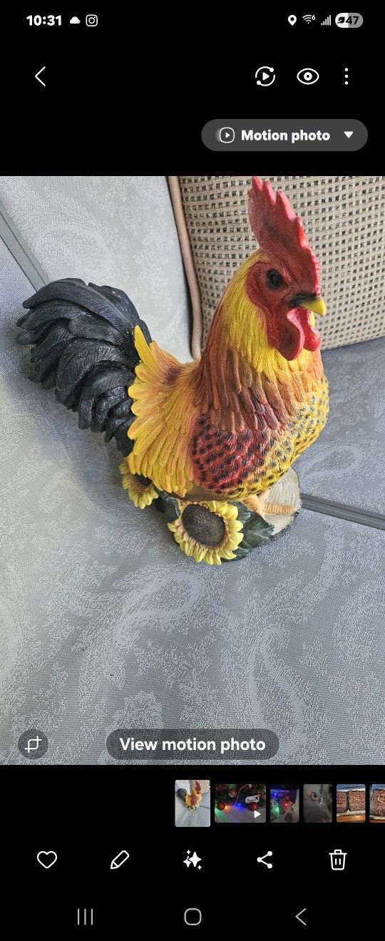 Rooster 