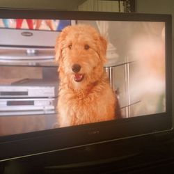 Sony 42” TV- Works Perfectly! 
