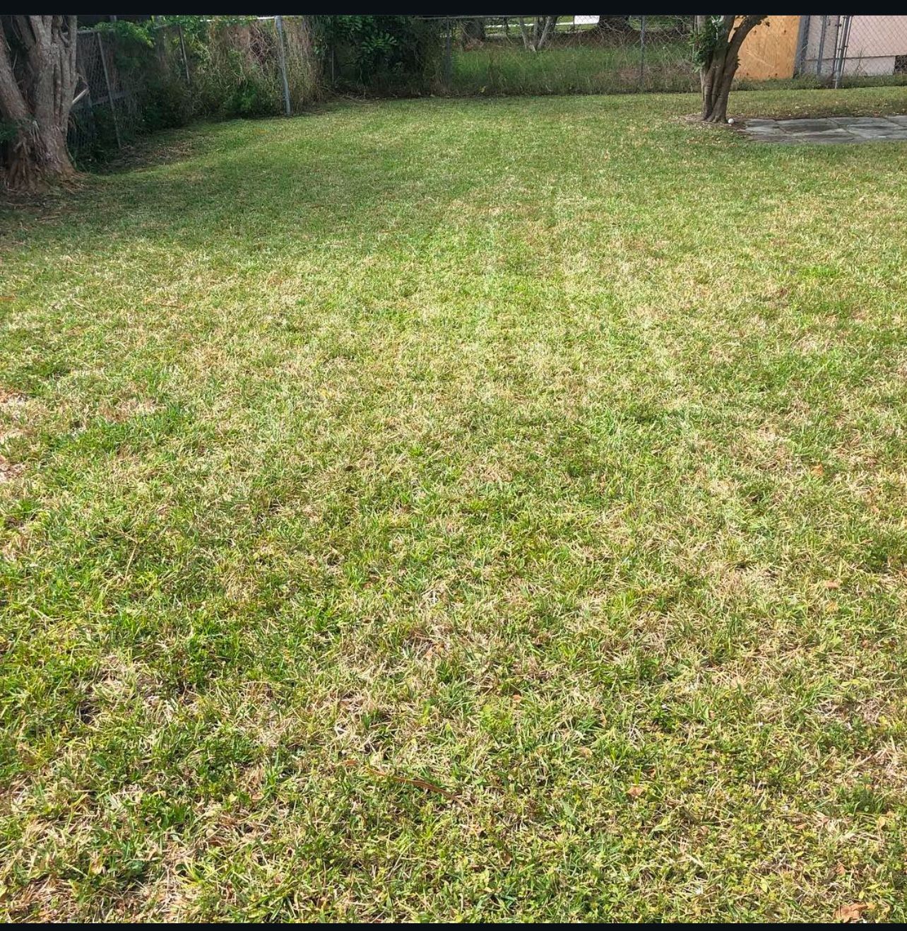 Lawn Cut 