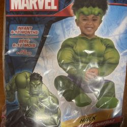 Marvel Hulk Costume 