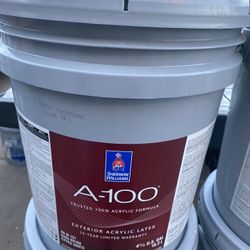 Exterior Paint & Primer  Pintura 