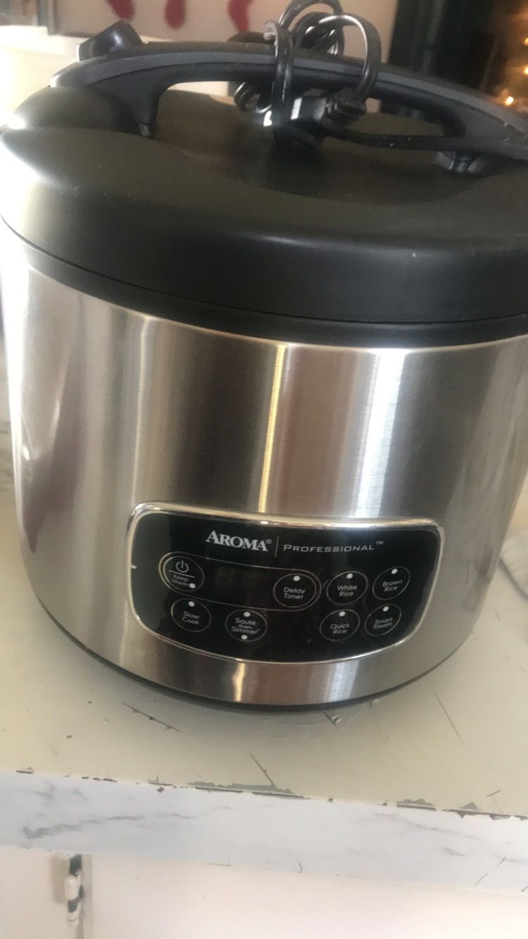 Crockpot/rice steamer