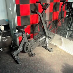 Echo Bike Rogue (fan Bike)