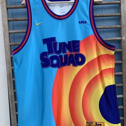 Nike Space Jam Lebron Jersey 