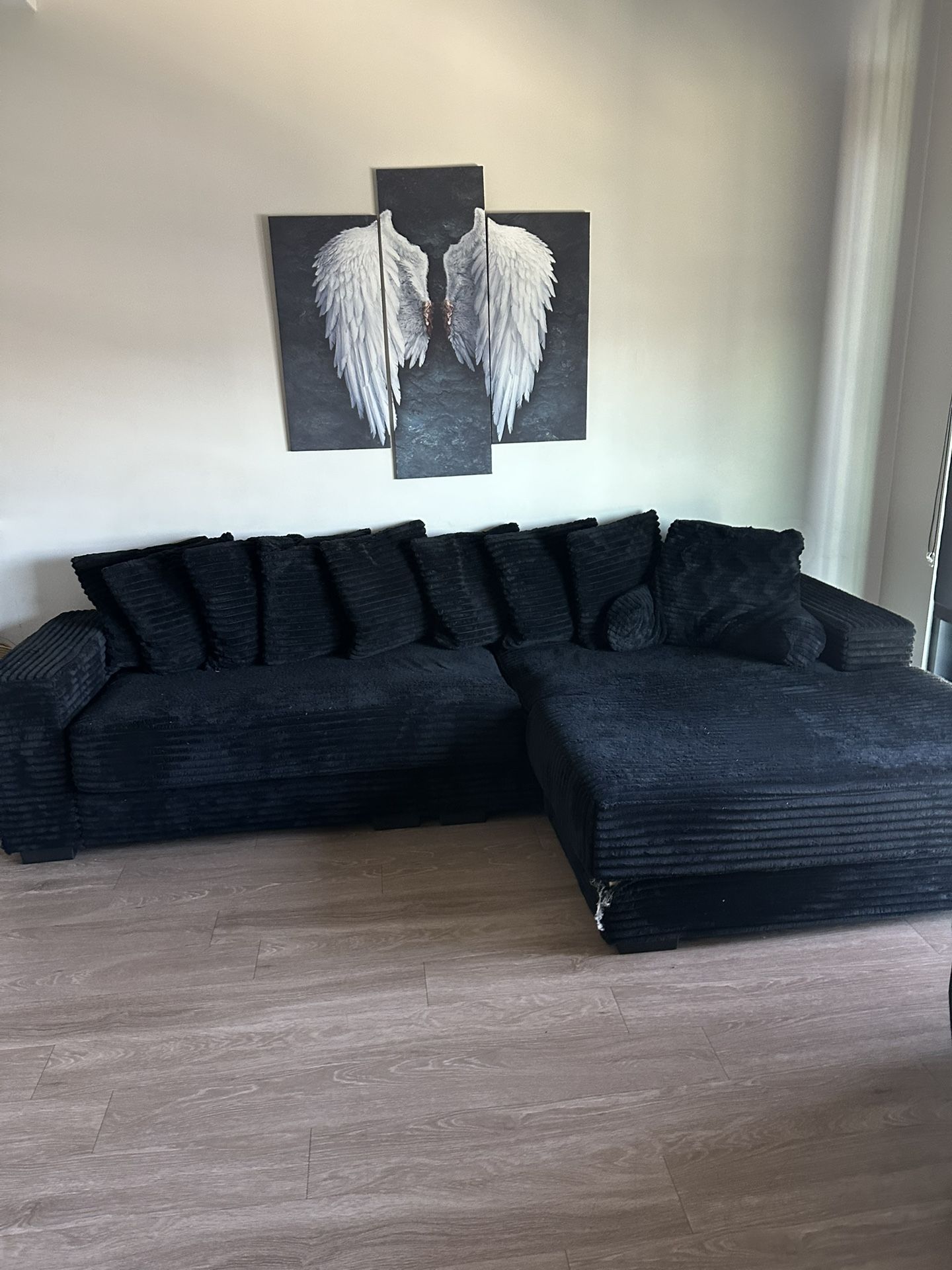 Beautiful Black Couch
