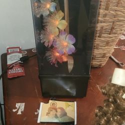 Fiber Optic Lamp