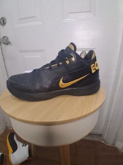 Lebrons size 12