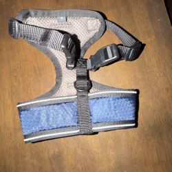 Small No Pull harness 