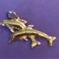 Charm Dolphins 