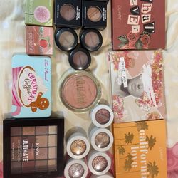 makeup eyeshadow palette and cheek